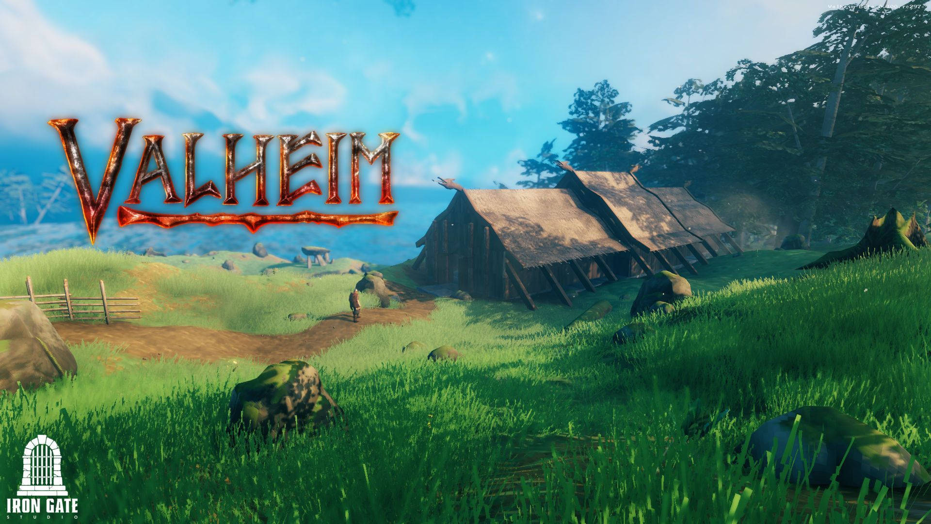 Valheim background